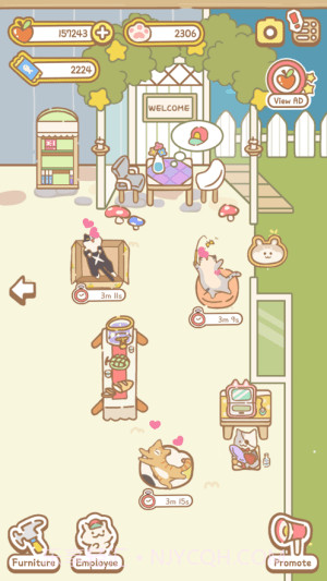 猫猫水疗馆截图1 猫猫水疗馆截图1