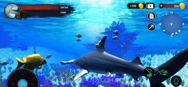 锤头鲨模拟器3d截图3 锤头鲨模拟器3d截图3