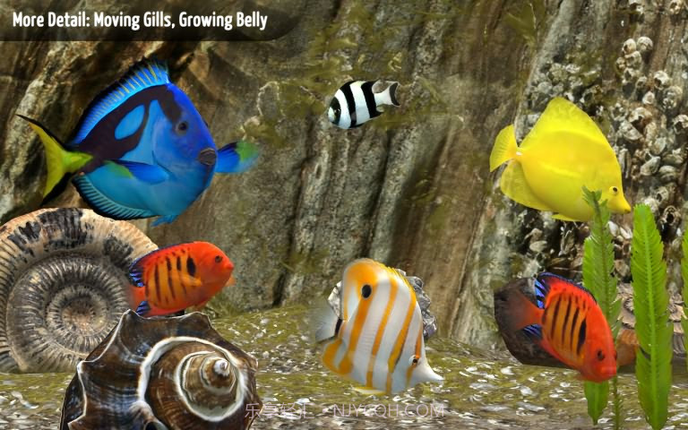 我的深海水族箱3D截图3