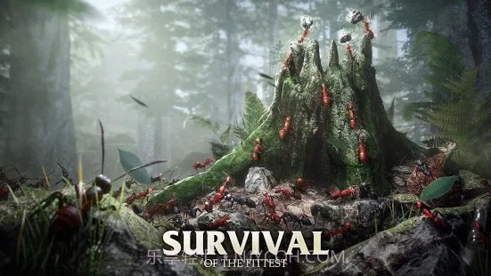 蚂蚁军团为了虫群截图1 蚂蚁军团为了虫群截图1