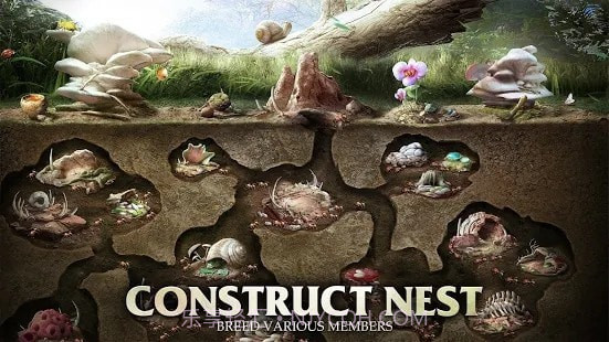 蚂蚁军团为了虫群截图3 蚂蚁军团为了虫群截图3