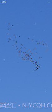 Flocc截图2 Flocc截图2