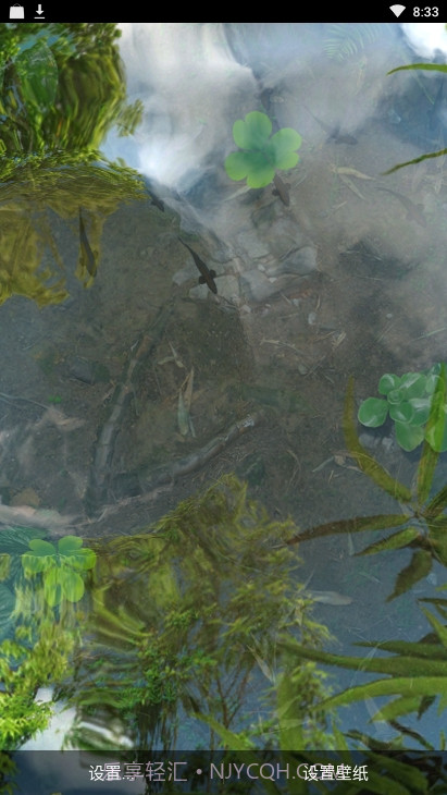 锦鲤鱼池3D动态壁纸(鱼池)截图1 锦鲤鱼池3D动态壁纸(鱼池)截图1