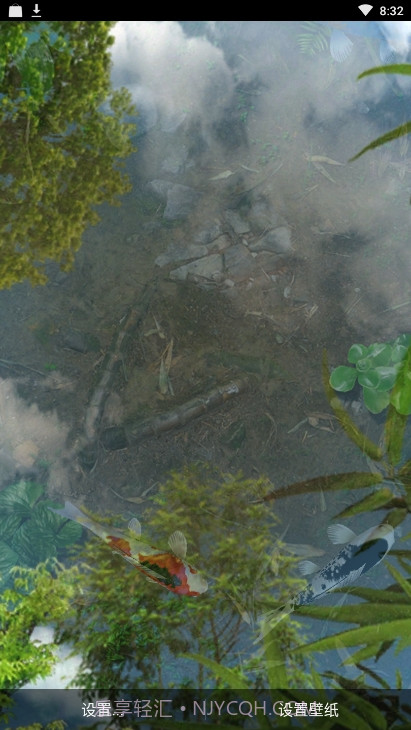 锦鲤鱼池3D动态壁纸(鱼池)截图3 锦鲤鱼池3D动态壁纸(鱼池)截图3