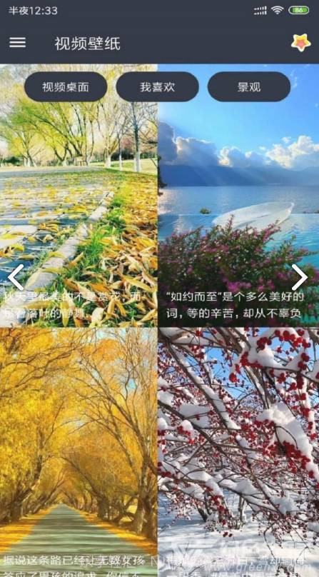 VideoWallpaper(videowallpaper小米)V3.2.3 安卓中文版截图3