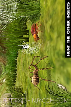 终极蜘蛛模拟器最新版截图1