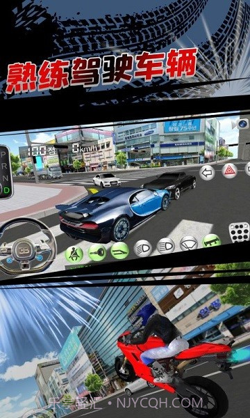 3D开车教室2023版截图3