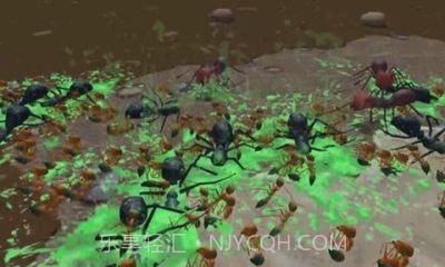 模拟地下蚁国截图4