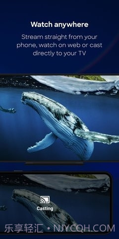 discovery+截图3 discovery+截图3