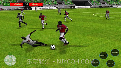 俄罗斯足球杯截图3