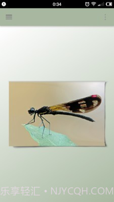 一幅相框v2.660截图1 一幅相框v2.660截图1