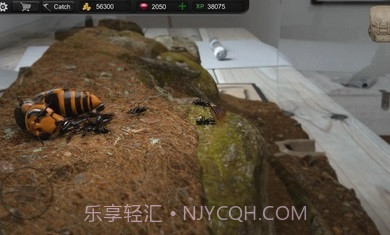 蚂蚁模拟大亨截图3 蚂蚁模拟大亨截图3