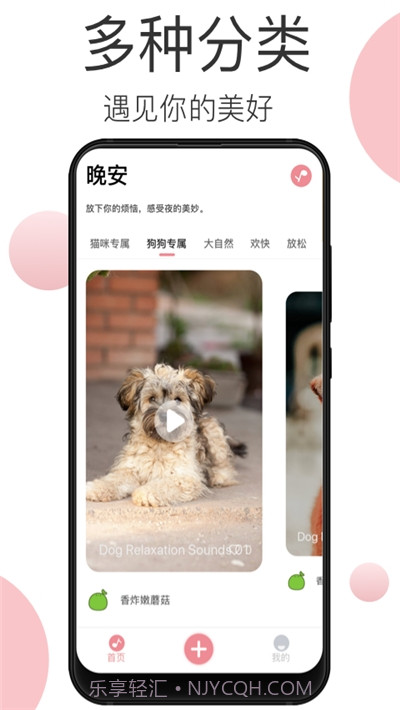 宠物音乐截图3