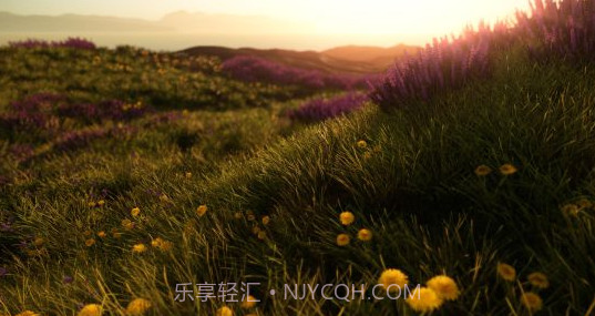 ProjectX大逃杀手机版截图2 ProjectX大逃杀手机版截图2