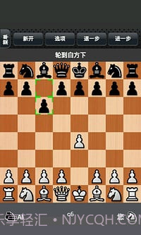 国际象棋下载免费版截图4