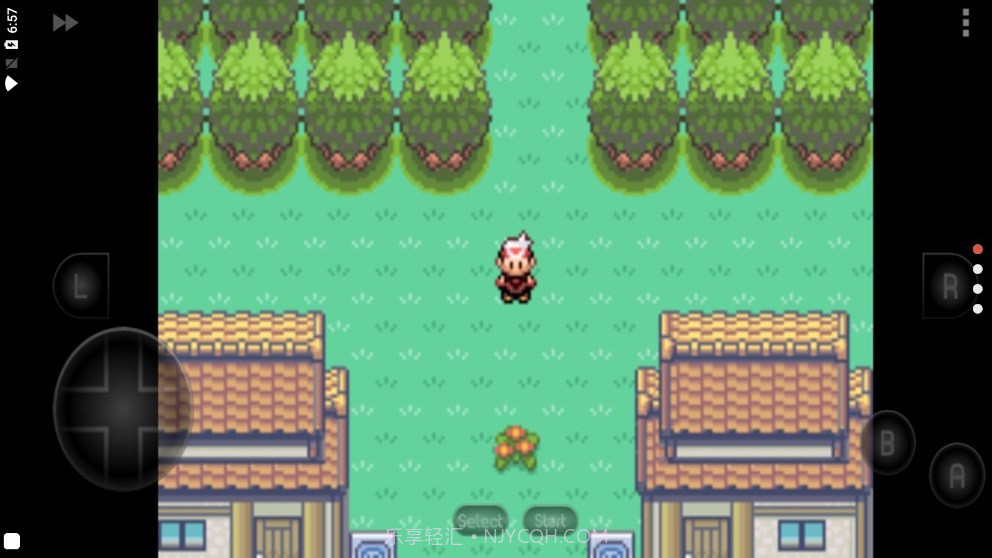 口袋妖怪漆黑的魅影5截图3 口袋妖怪漆黑的魅影5截图3