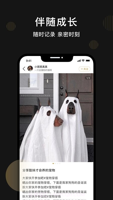 皮可宠物截图1 皮可宠物截图1