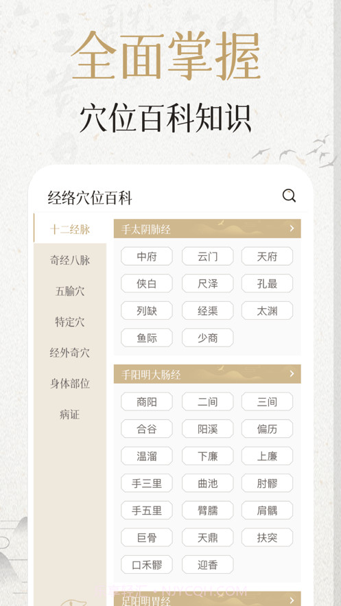 中济经络穴位截图1 中济经络穴位截图1