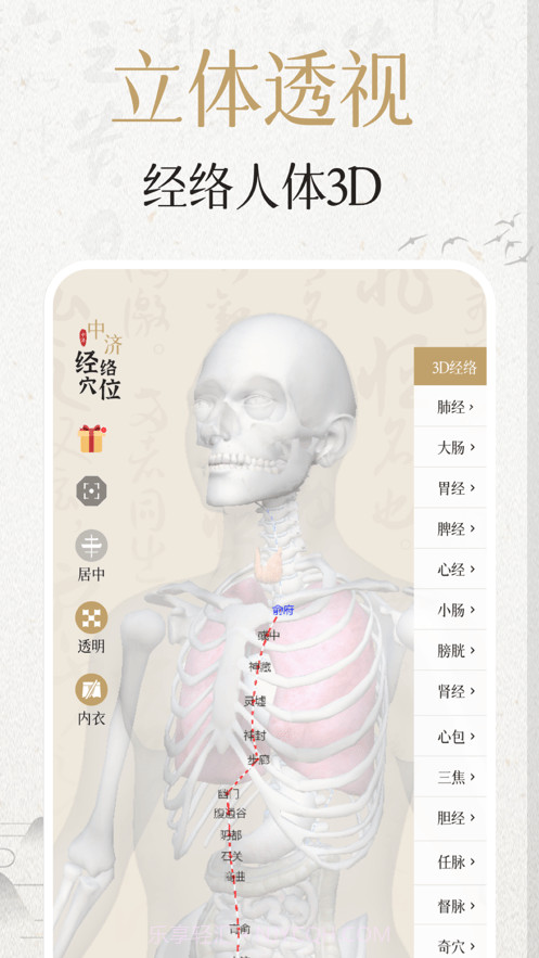 中济经络穴位截图5 中济经络穴位截图5