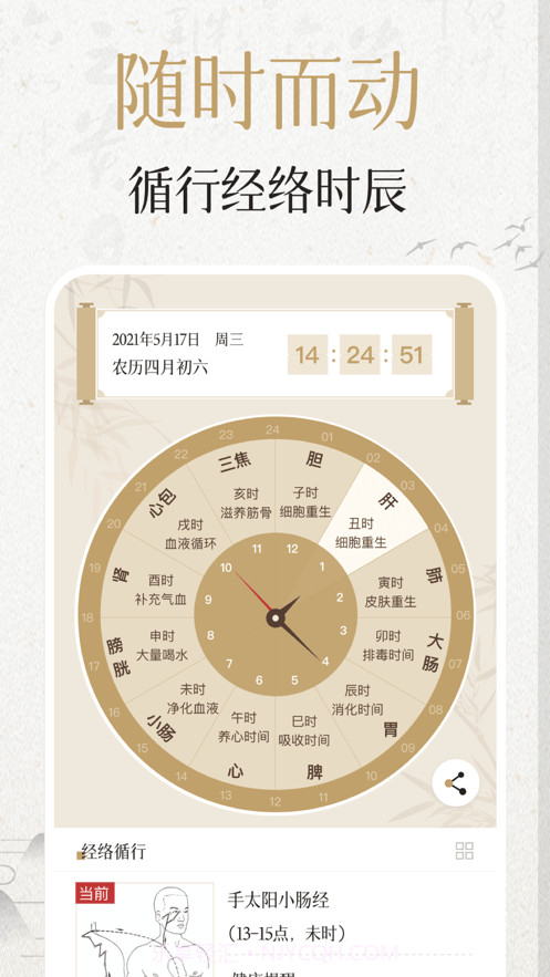 中济经络穴位截图4 中济经络穴位截图4