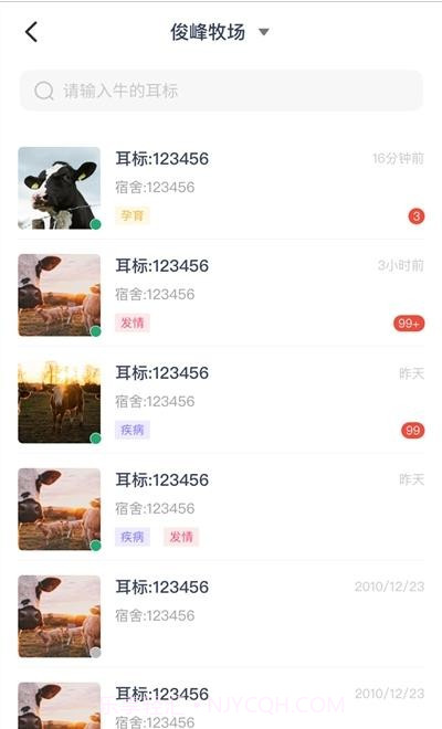 数字牧场截图1 数字牧场截图1