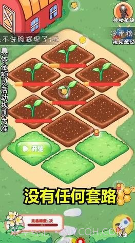 我的大花园截图1