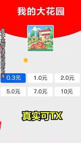 我的大花园截图4