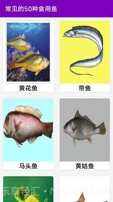 同聚元鱼类烹饪指南截图1