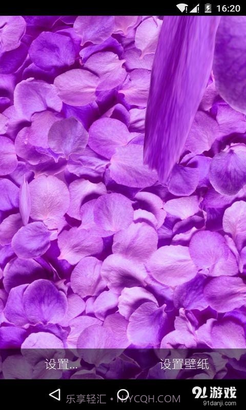 3D落花海:梦象动态壁纸截图2 3D落花海:梦象动态壁纸截图2