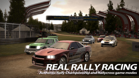 拉力赛(Rush Rally 2)截图2 拉力赛(Rush Rally 2)截图2