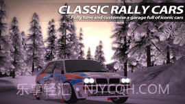 拉力赛2Rush Rally 2截图2