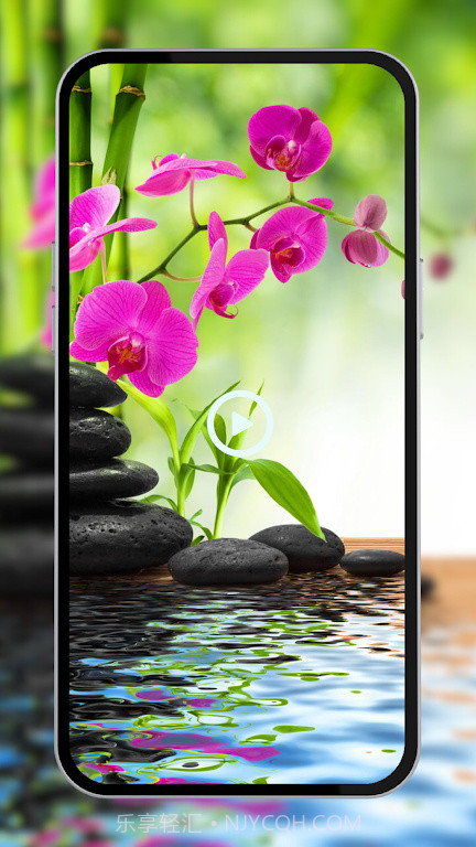 现场鲜花壁纸截图2 现场鲜花壁纸截图2