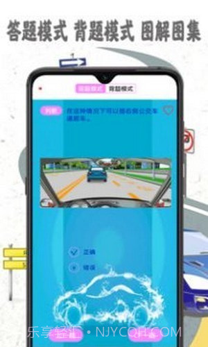 驾考模拟宝截图2