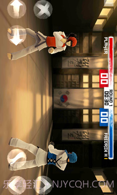 跆拳道大奖赛高画质版截图3