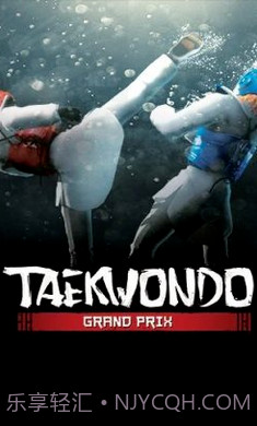 跆拳道大奖赛高画质版截图2