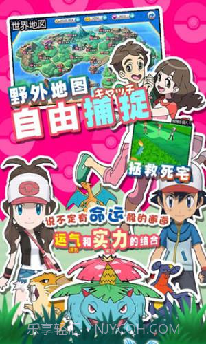 口袋喵喵游戏截图1