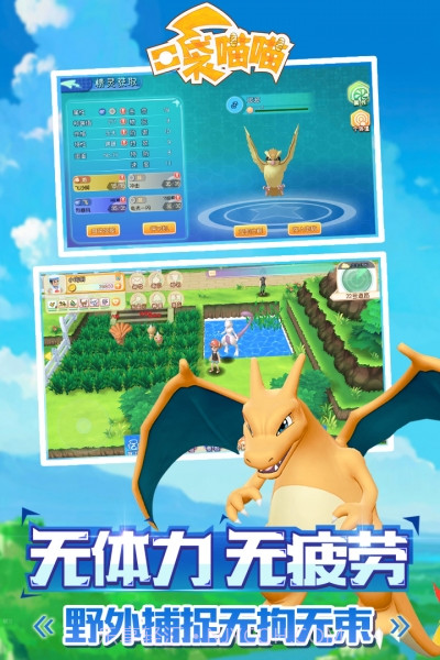 口袋喵喵截图5 口袋喵喵截图5