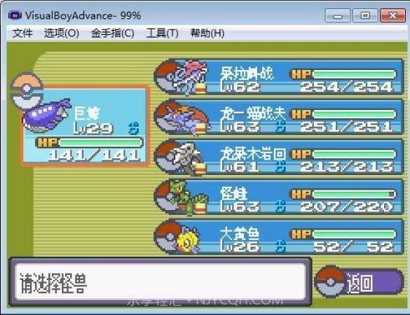 口袋妖怪彩宝石抖音下载截图2