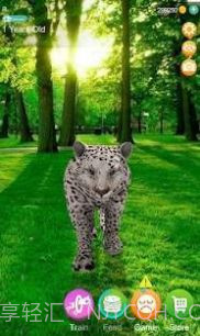 会说话的猎豹截图2