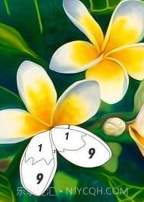 按编号花色截图1 按编号花色截图1