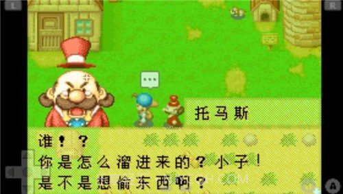 牧场物语矿石镇的伙伴们中文版截图1