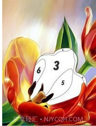 按编号花色截图2 按编号花色截图2