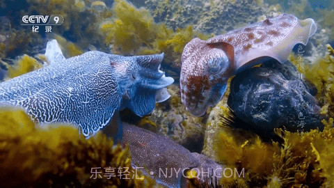 熊猫兔TV截图2 熊猫兔TV截图2