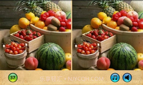 轻松找不同:Simply Find It截图1