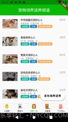 寻狗截图4 寻狗截图4