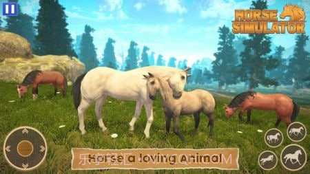 骑马世界模拟器截图3 骑马世界模拟器截图3