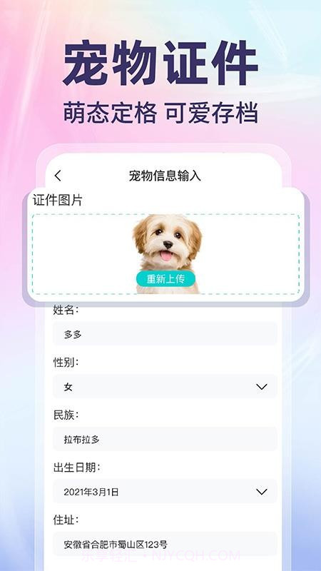 网络电子证件管家全新版本截图3
