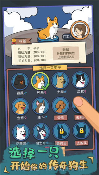 狗生模拟器中文版截图2 狗生模拟器中文版截图2