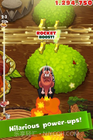 疯狂袋鼠 (Crazy Kangaroo)截图2