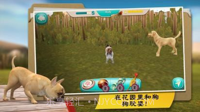 我的寄宿狗截图2